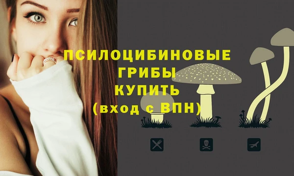 гашик Зерноград